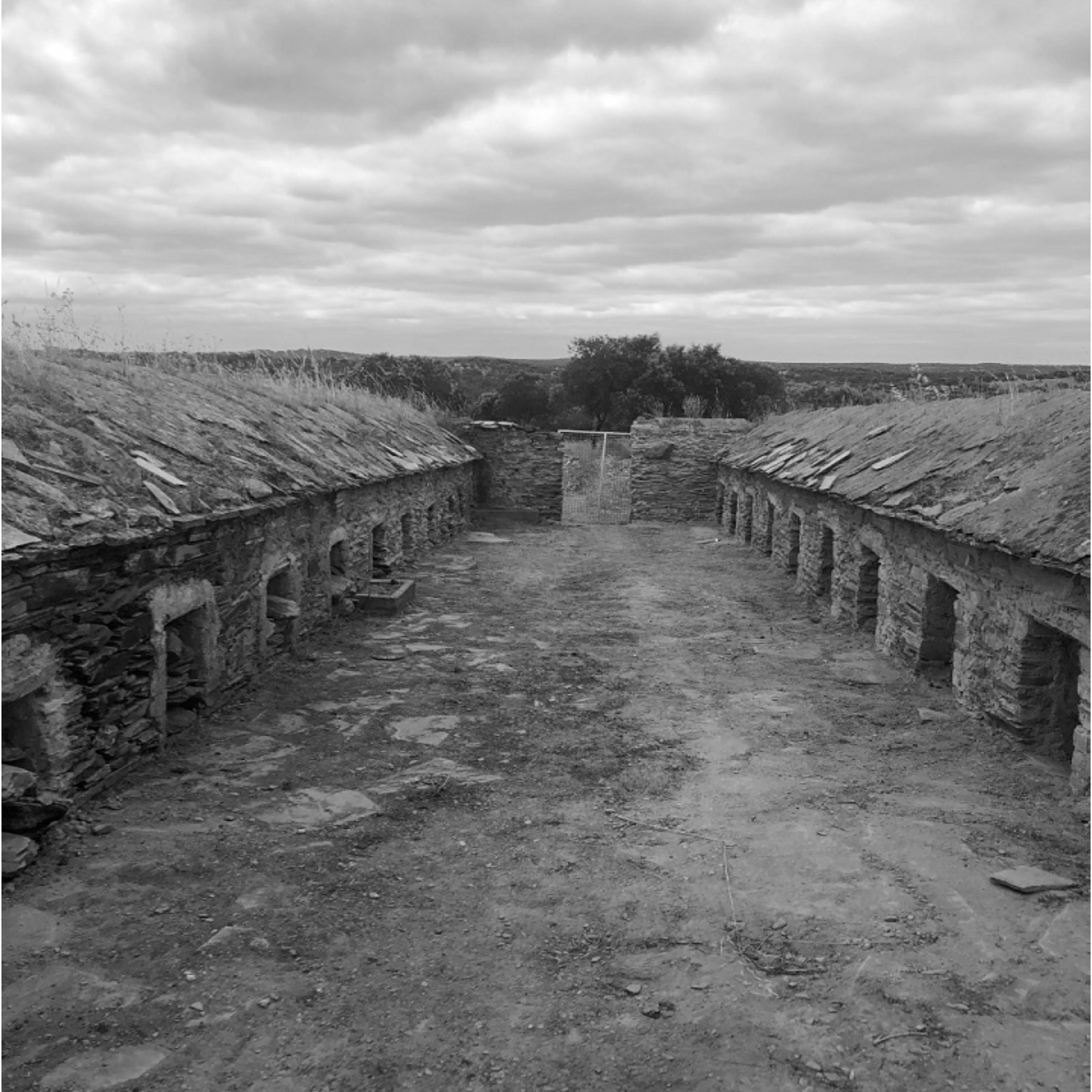scroll-antiguo-cortijo-mirleo-1