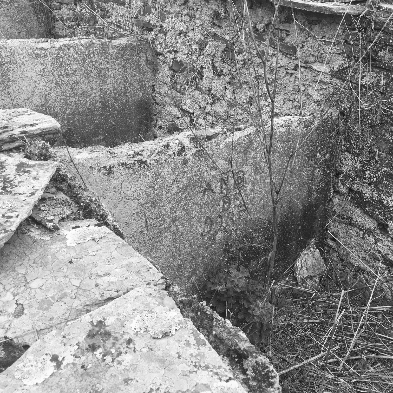 scroll-antiguo-cortijo-mirleo-3