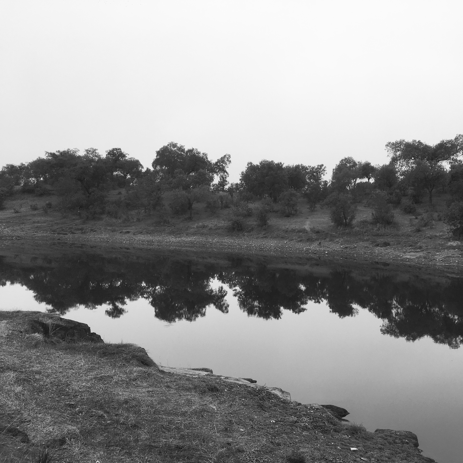 scroll-antiguo-cortijo-mirleo-4