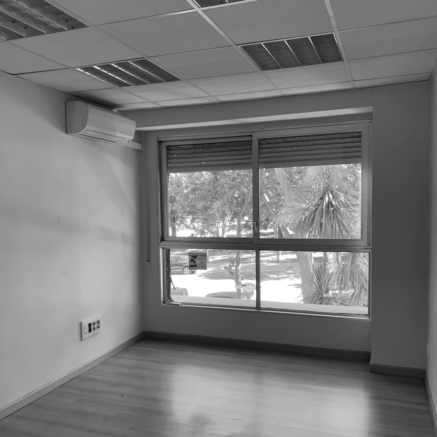 ramon-y-cajal-scroll-1