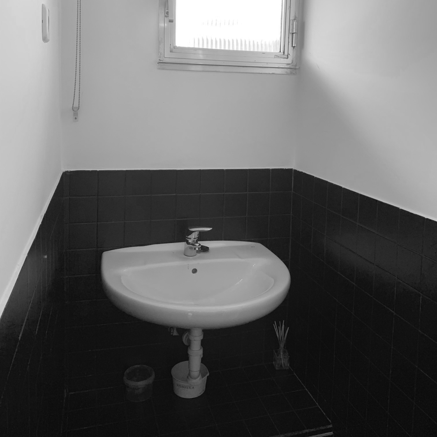 ramon-y-cajal-scroll-2