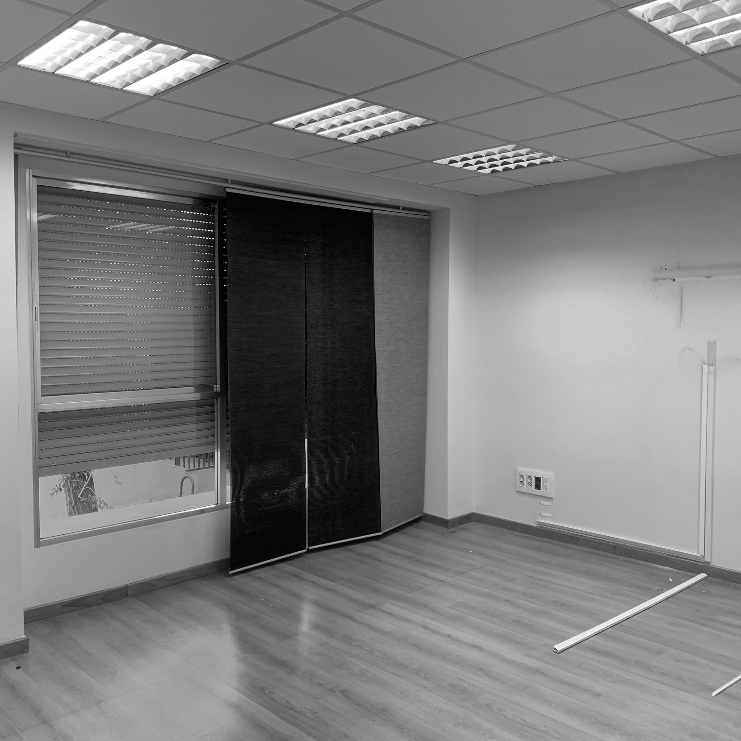 ramon-y-cajal-scroll-3